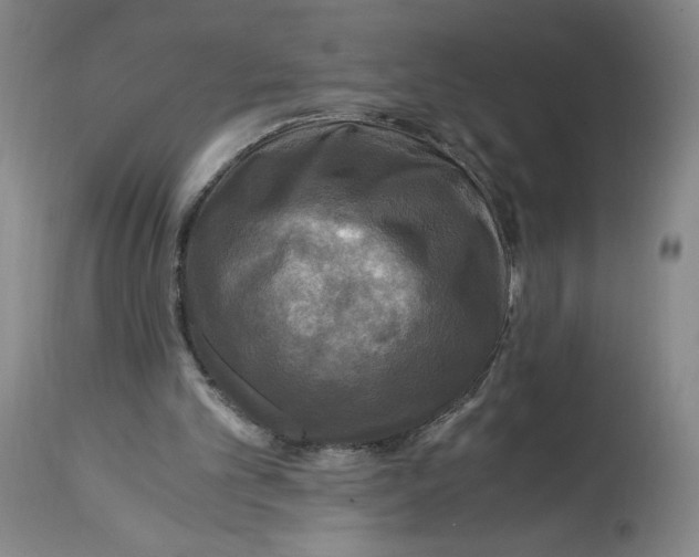 X0000114390101200911061524