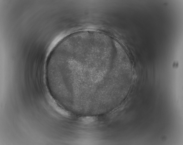 X0000114390102200911061524