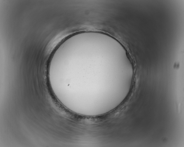 X0000114390103200911061524