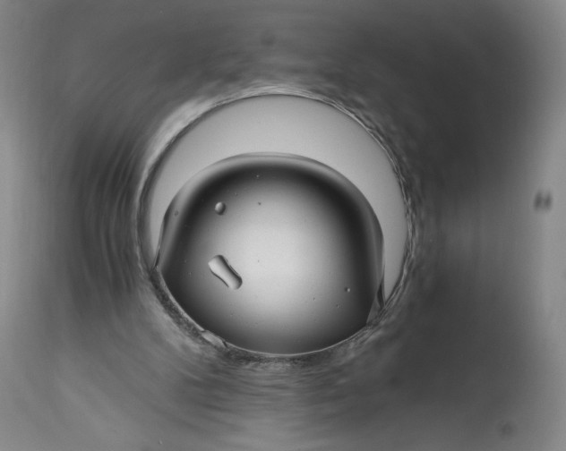 X0000114390104200911061524