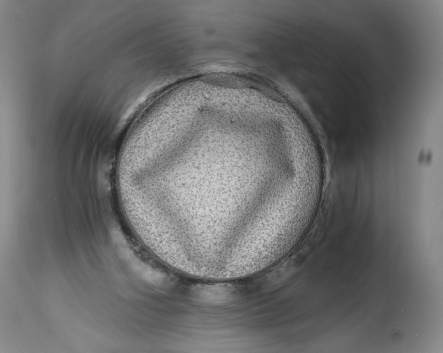 X0000114390106200911061524