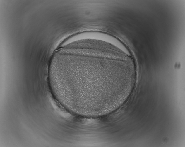 X0000114390107200911061524