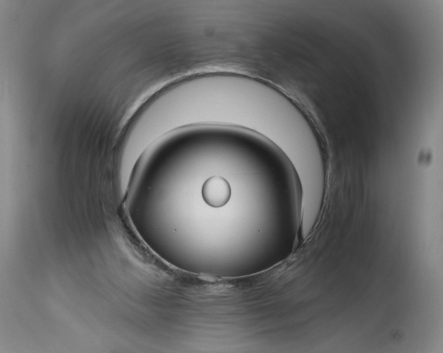 X0000114390108200911061524