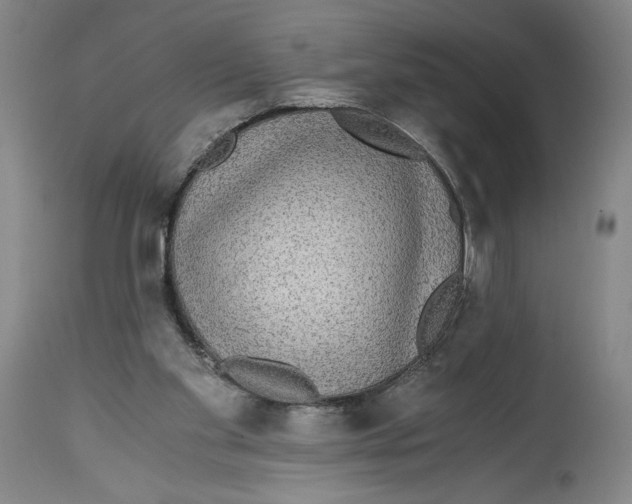 X0000114390109200911061524