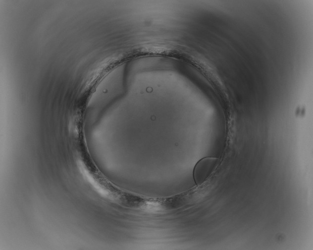 X0000114390114200911061524
