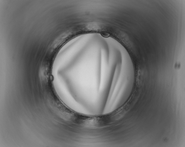 X0000114390116200911061524