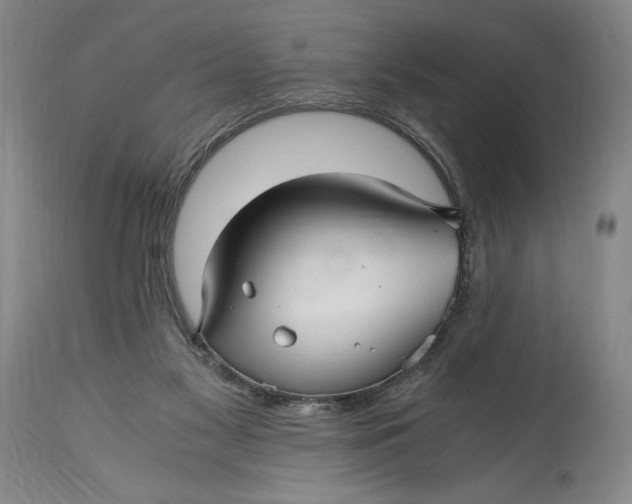 X0000114390117200911061524