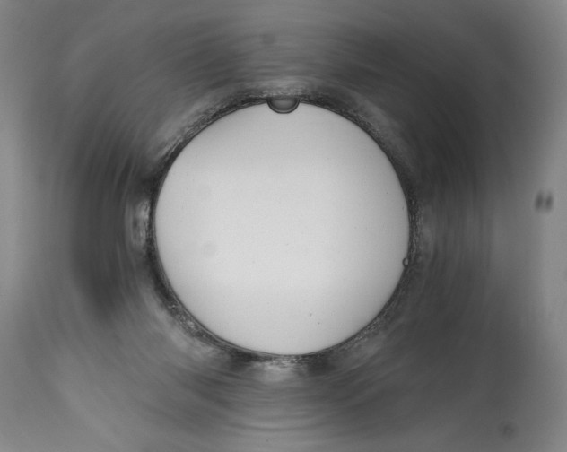 X0000114390118200911061524