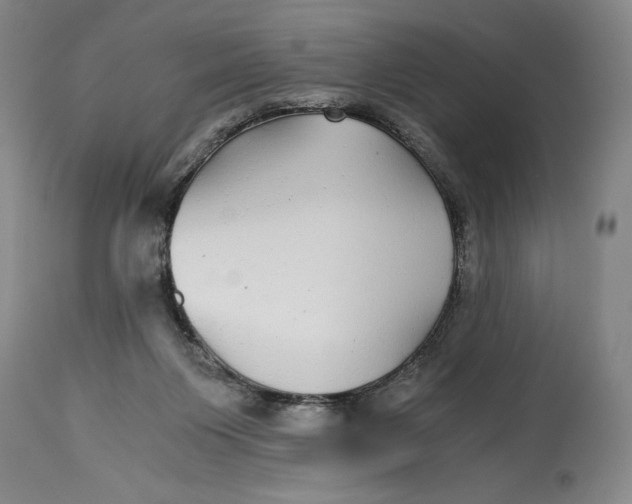 X0000114390119200911061524