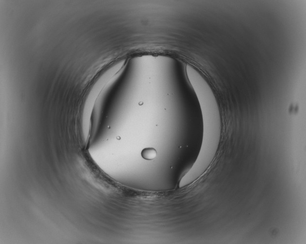 X0000114390120200911061524