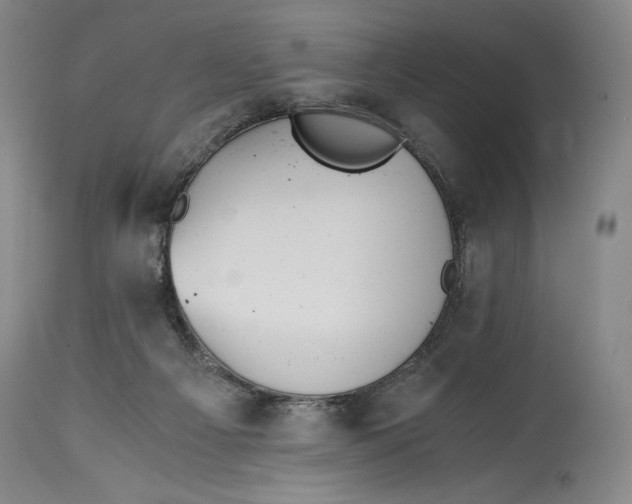 X0000114390121200911061524
