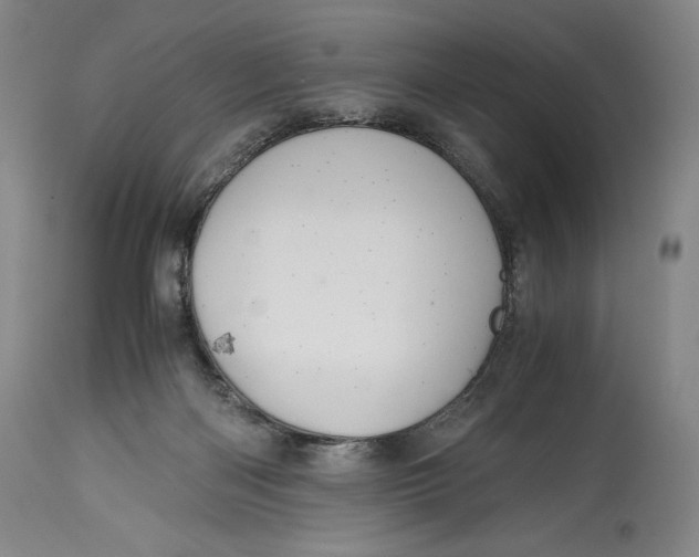 X0000114390122200911061524