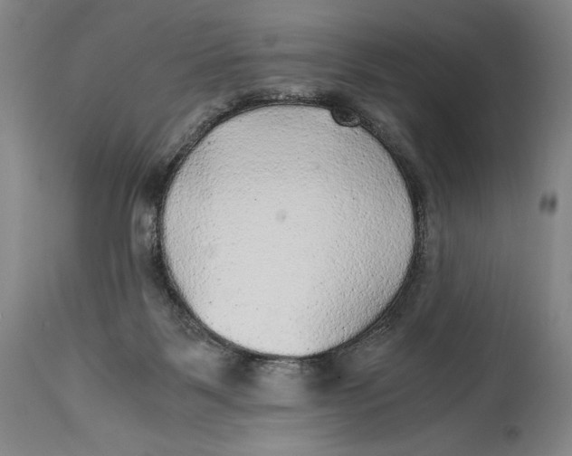 X0000114390123200911061524