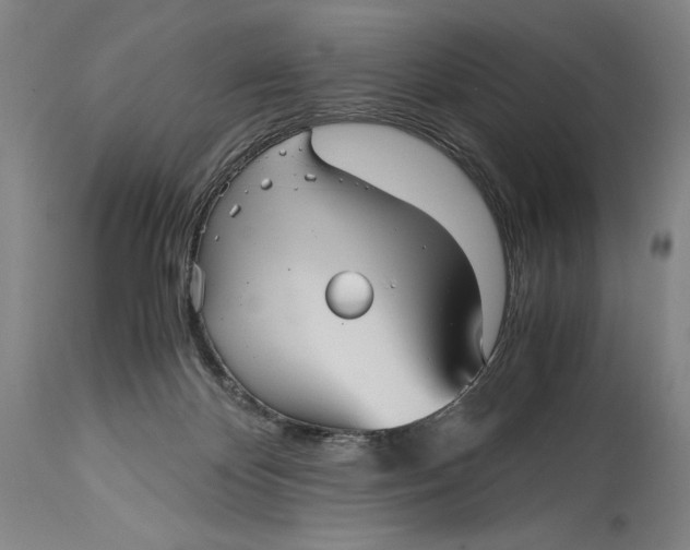 X0000114390124200911061524