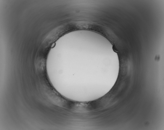 X0000114390125200911061524