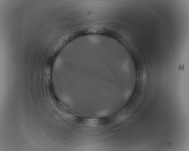 X0000114390127200911061524