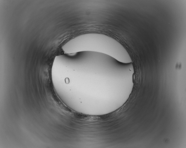X0000114390128200911061523