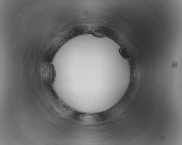 X0000114390129200911061523