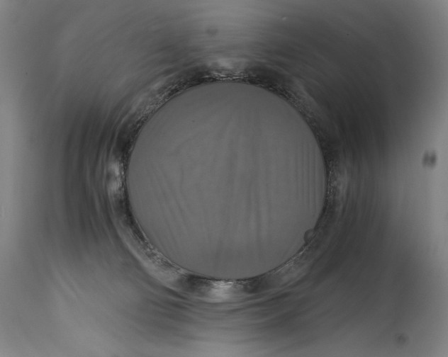 X0000114390130200911061523