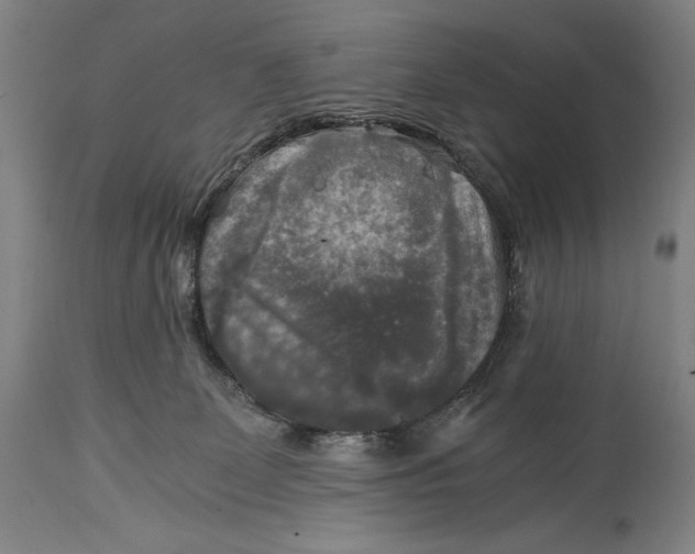 X0000114390131200911061523