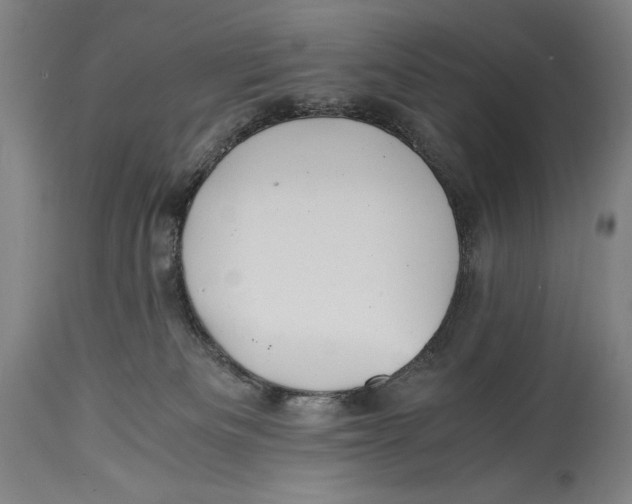 X0000114390133200911061523