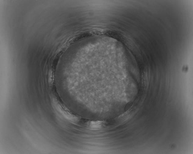 X0000114390134200911061523