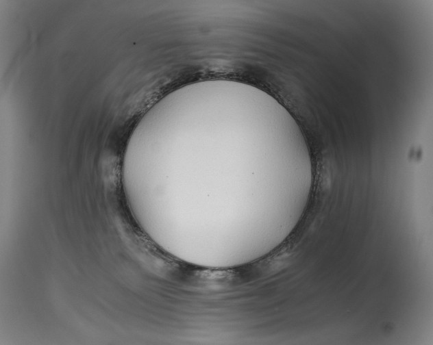X0000114390135200911061523