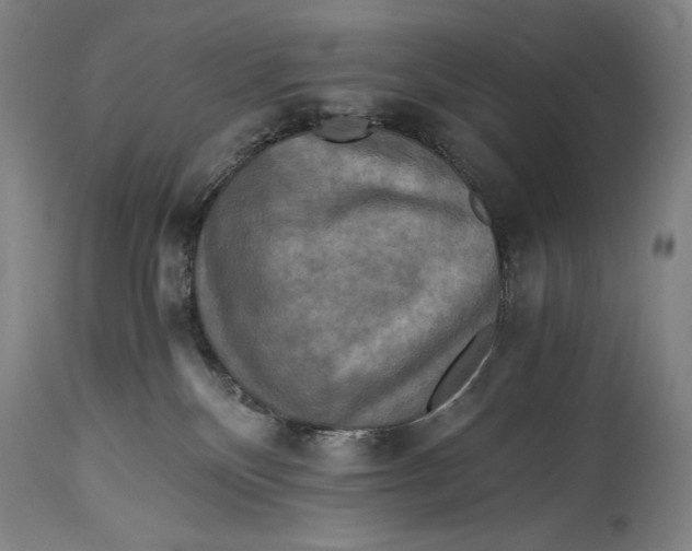 X0000114390136200911061523