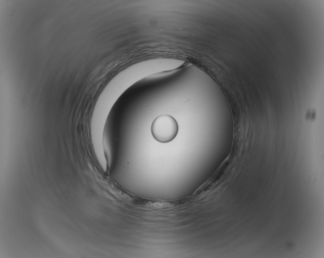 X0000114390137200911061523