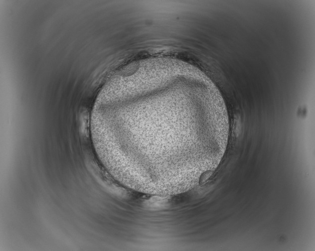 X0000114390138200911061523
