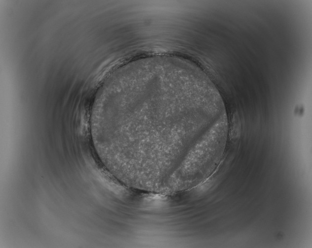 X0000114390140200911061523
