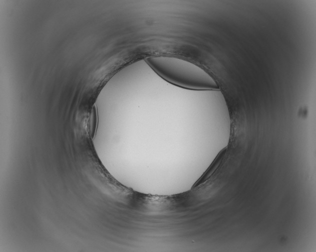X0000114390141200911061523