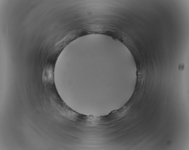 X0000114390143200911061523