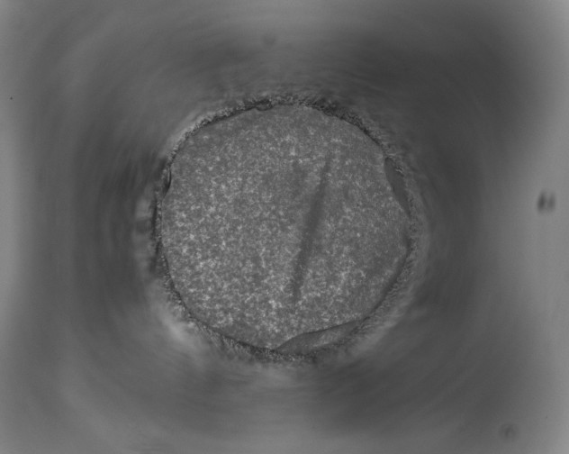 X0000114390144200911061523