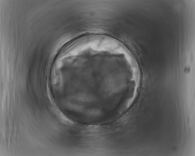 X0000114390145200911061523