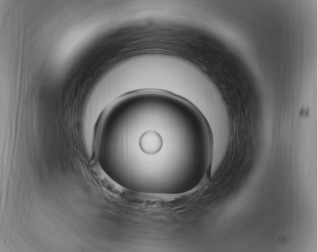 X0000114390146200911061523