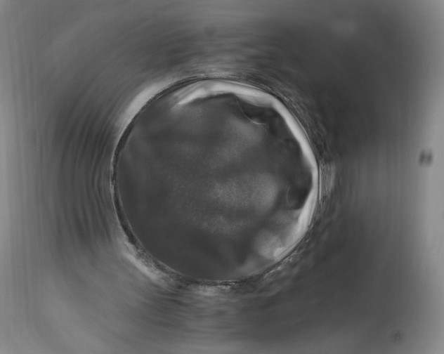 X0000114390147200911061523