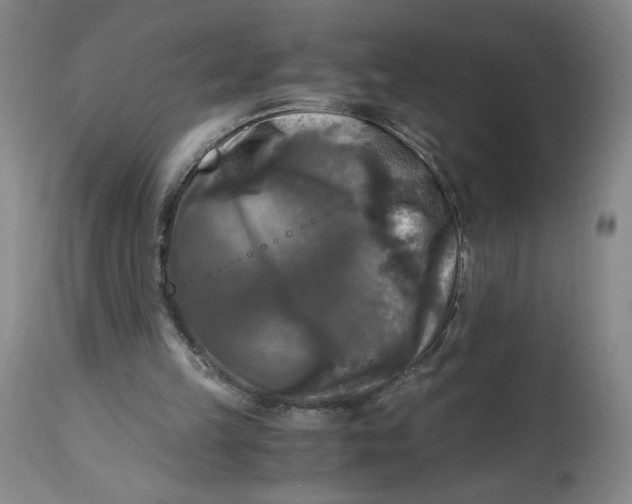 X0000114390149200911061523