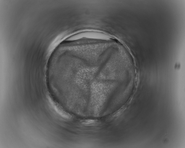 X0000114390151200911061523
