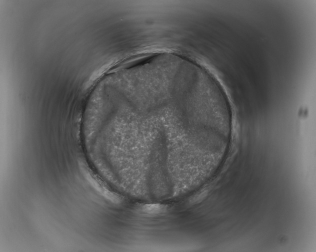 X0000114390153200911061523