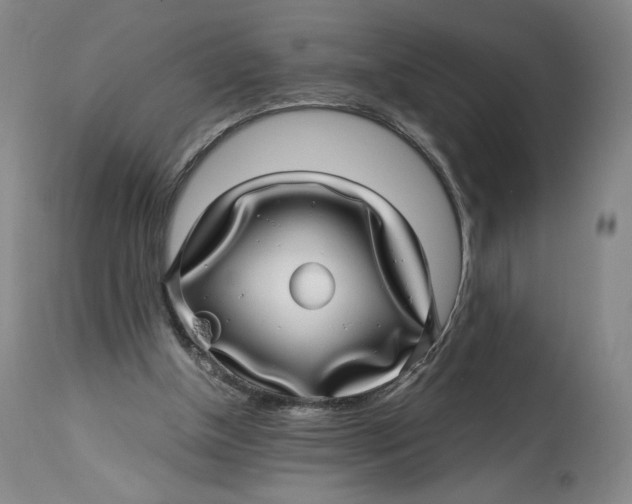 X0000114390154200911061523