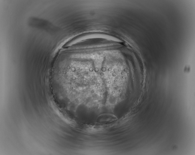 X0000114390155200911061523