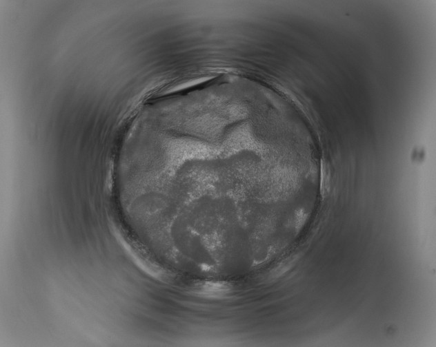 X0000114390157200911061523