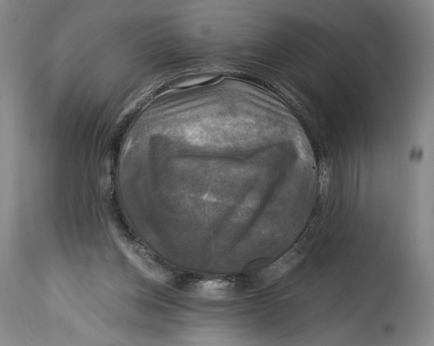 X0000114390158200911061523