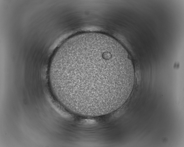 X0000114390159200911061523