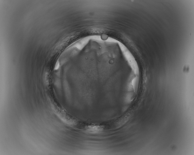 X0000114390161200911061523