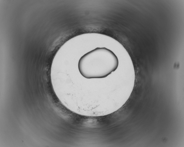 X0000114390162200911061523