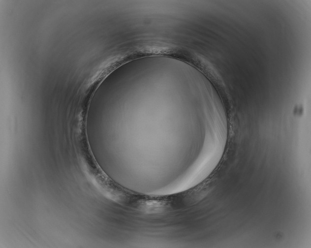 X0000114390163200911061523