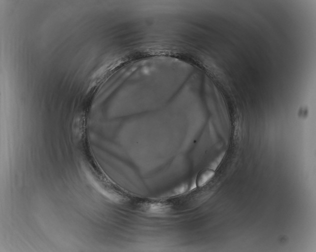 X0000114390165200911061523