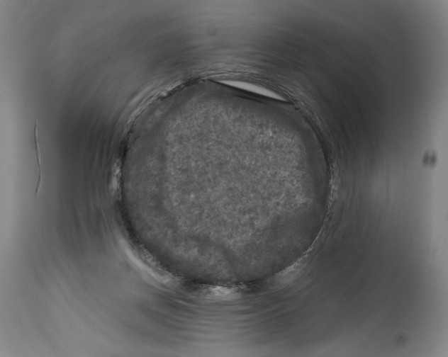 X0000114390166200911061523